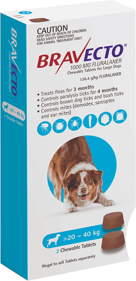 Pet Accessories