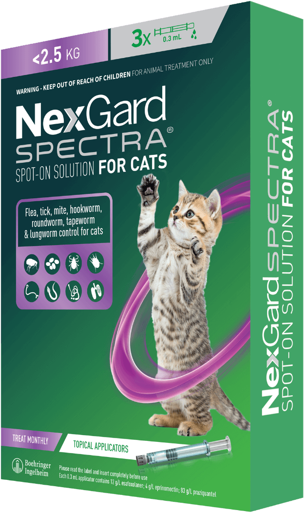 Pet Plan